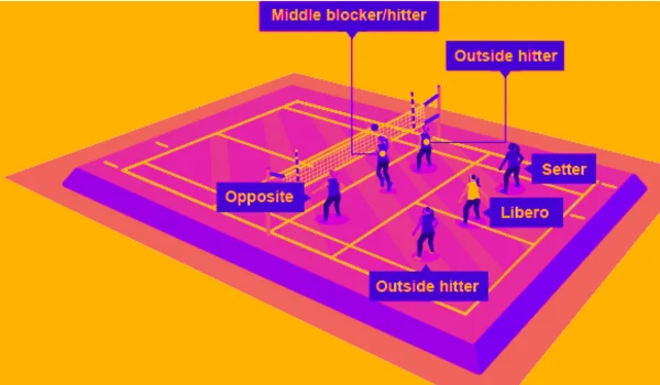 Volleyball Players Position On Court