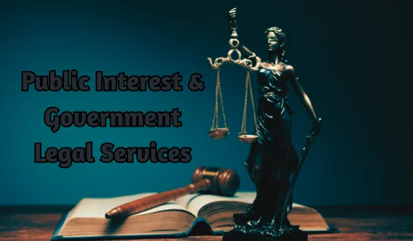 Public Interest & Government Legal Services